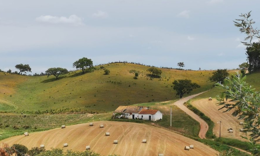 Paisagem
